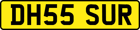 DH55SUR
