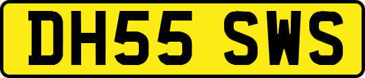 DH55SWS