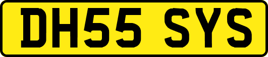 DH55SYS