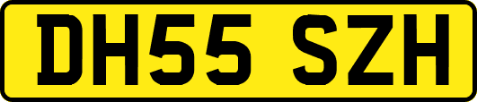 DH55SZH