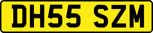 DH55SZM