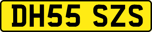 DH55SZS