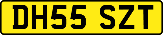 DH55SZT