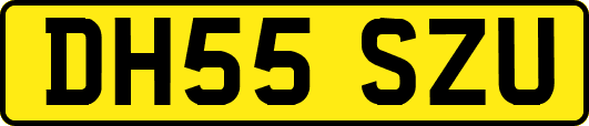 DH55SZU