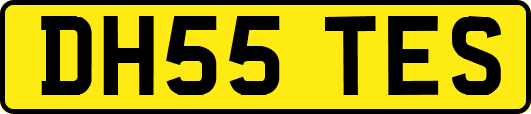 DH55TES