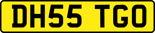 DH55TGO