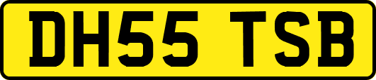 DH55TSB