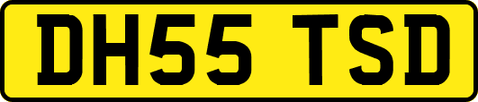 DH55TSD
