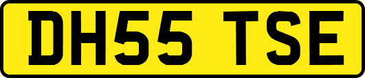 DH55TSE
