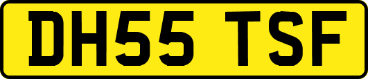 DH55TSF