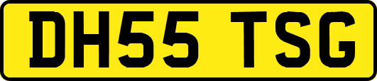 DH55TSG