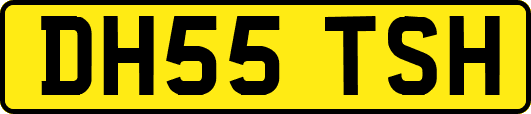 DH55TSH