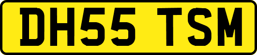 DH55TSM