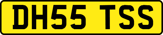 DH55TSS