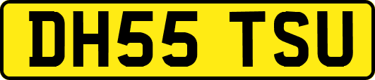 DH55TSU