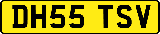 DH55TSV