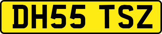 DH55TSZ