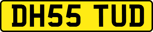 DH55TUD