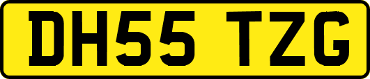 DH55TZG