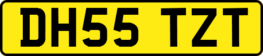 DH55TZT