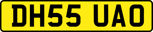 DH55UAO