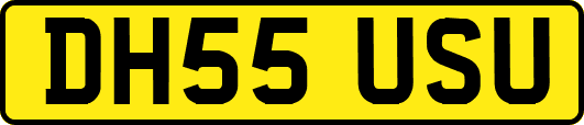 DH55USU