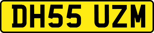 DH55UZM
