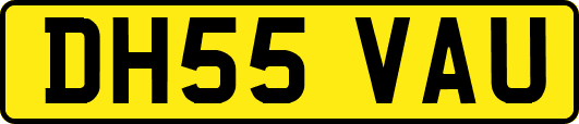 DH55VAU