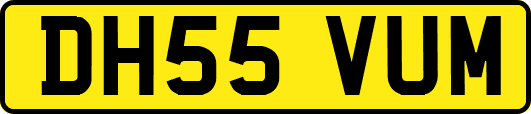 DH55VUM
