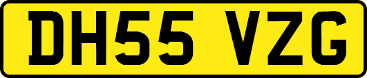 DH55VZG