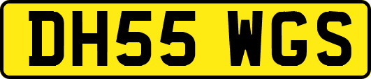 DH55WGS