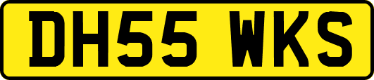 DH55WKS