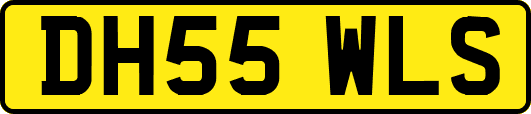 DH55WLS