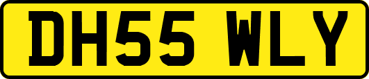 DH55WLY