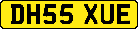 DH55XUE