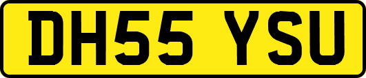 DH55YSU