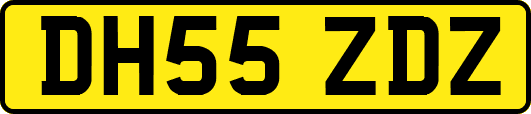 DH55ZDZ
