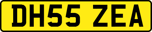 DH55ZEA
