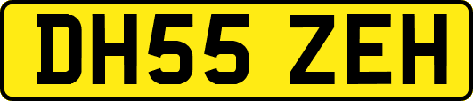 DH55ZEH