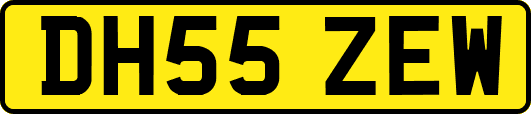 DH55ZEW