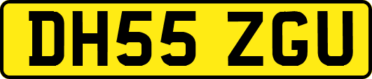 DH55ZGU
