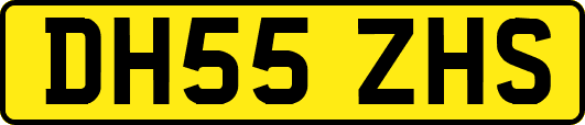 DH55ZHS
