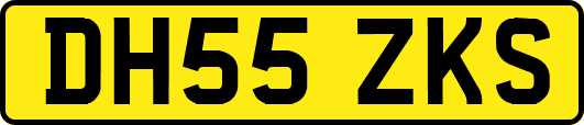 DH55ZKS