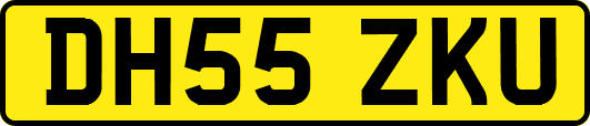 DH55ZKU