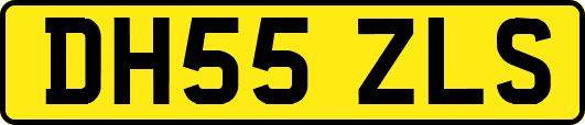 DH55ZLS