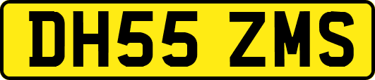 DH55ZMS