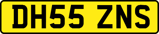 DH55ZNS