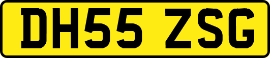 DH55ZSG