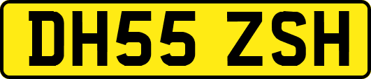 DH55ZSH