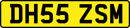 DH55ZSM